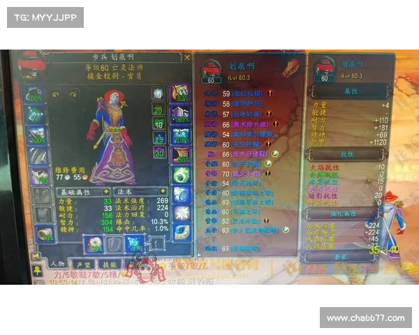 魔兽世界怀旧服：法师宠物装备技能指南